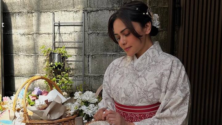 अमृताचा 'चंद्रमुखी' हा सिनेमा गेल्या वर्षी  प्रेक्षकांच्या भेटीला आला असून या सिनेमातील अमृताच्या कामाचे प्रचंड कौतुक झाले.