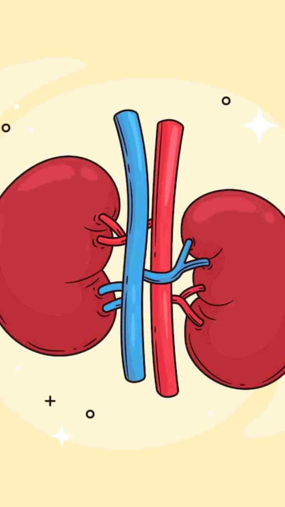 नई किडनी ट्रांसप्लांट करने के बाद पुरानी किडनी का क्या किया जाता है