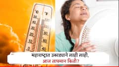 Temperature Today:परभणी 42.4 अंश, पुण्यात किती? विदर्भात किंचित दिलासा, उकाड्याने नागरिक हैराण, आज कुठे काय पारा? Photos