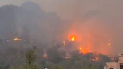 उत्तराखंड में जंगलों में आग का कहर: अब तक 112 घटनाएं, 136 हेक्टेयर क्षेत्रफल प्रभावित