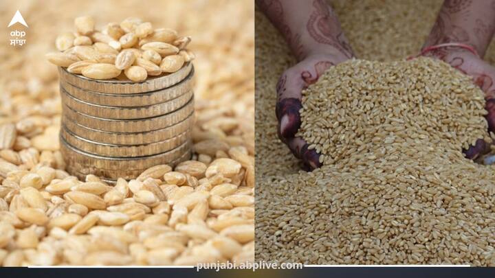 ਕਣਕ ਨੇ ਇਸ ਵਾਰ ਕਿਸਾਨਾਂ ਦੀ ਬੱਲੇ-ਬੱਲੇ ਕਰਵਾ ਦਿੱਤੀ ਹੈ। ਇੱਕ ਪਾਸੇ ਪ੍ਰਤੀ ਏਕੜ ਦੋ ਤੋਂ ਤਿੰਨ ਕੁਇੰਟਲ ਝਾੜ ਵੱਧ ਨਿਕਲ ਰਿਹਾ ਹੈ ਤੇ ਦੂਜੇ ਪਾਸੇ ਸਰਕਾਰ ਵੱਲੋਂ ਤੈਅ ਘੱਟੋ-ਘੱਟ ਸਮਰਥਨ ਮੁੱਲ (MSP) ਨਾਲੋਂ ਵੀ ਵੱਧ ਕੀਮਤ ਉਪਰ ਕਣਕ ਵਿਕ ਰਹੀ ਹੈ