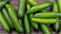 Cucumber Benefits : వేసవిలో కీరదోసకాయలు రోజూ తింటే కలిగే లాభాలివే.. ఆ సమస్యలు దూరం