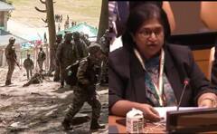 'This Confession Not Surprising, Exposes Pak': India Slams Pakistan At UN Over Pahalgam Attack