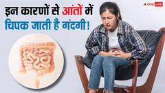 आंतों में इन कारणों से चिपकने लगती हैं गंदगी, खाना-पीना पचाना हो जाता है मुश्किल