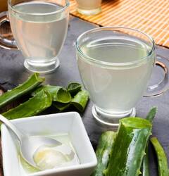 ਜਾਣੋ ਐਲੋਵੇਰਾ ਜੂਸ ਪੀਣ ਦੇ ਗਜ਼ਬ ਫਾਇਦੇ, ਦੂਰ ਹੁੰਦੀਆਂ ਸਿਹਤ ਸੰਬੰਧੀ ਕਈ ਦਿੱਕਤਾਂ