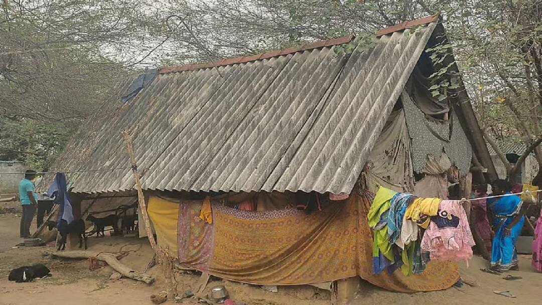 தாயை கொலை செய்துவிட்டு தந்தை தற்கொலை: நிர்க்கதியாக தவிக்கும் 3 குழந்தைகள் Pudukottai crime Father commits suicide after killing mother 3 children in desperate straits tnn தாயை கொலை செய்துவிட்டு தந்தை தற்கொலை: நிர்க்கதியாக தவிக்கும் 3 குழந்தைகள்