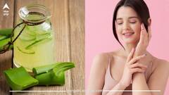 ਜਾਣੋ ਐਲੋਵੇਰਾ ਜੂਸ ਪੀਣ ਦੇ ਗਜ਼ਬ ਫਾਇਦੇ, ਦੂਰ ਹੁੰਦੀਆਂ ਸਿਹਤ ਸੰਬੰਧੀ ਕਈ ਦਿੱਕਤਾਂ