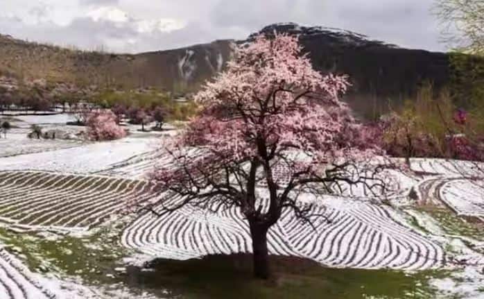 ਪਾਕਿਸਤਾਨ ਤੋਂ ਬਦਲਾ ਲੈਣ ਲਈ, ਭਾਰਤ ਨੇ ਨਾ ਸਿਰਫ਼ ਸਿੰਧੂ ਜਲ ਸੰਧੀ 'ਤੇ ਰੋਕ ਲਗਾਈ ਹੈ, ਸਗੋਂ ਪਾਕਿਸਤਾਨੀ ਵੀਜ਼ੇ ਵੀ ਰੱਦ ਕਰ ਦਿੱਤੇ ਹਨ। ਇਸ ਦੇ ਨਾਲ ਹੀ ਭਾਰਤ ਨੇ ਦੇਸ਼ ਦੇ ਅੰਦਰ ਮੌਜੂਦ ਪਾਕਿਸਤਾਨੀਆਂ ਨੂੰ 26 ਅਪ੍ਰੈਲ ਤੱਕ ਭਾਰਤ ਛੱਡਣ ਦਾ ਹੁਕਮ ਵੀ ਦਿੱਤਾ ਸੀ।