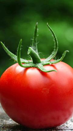 టొమాటోలతో పాటు వీటిని తింటే కలిగే బెనిఫిట్స్ ఇవే