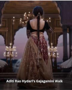 From Gajagamini To Tauba Tauba: 7 Viral Dance Moments That Broke The Internet