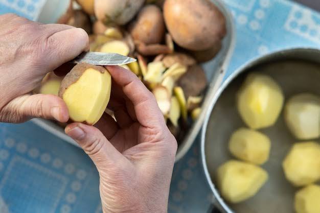 अगर आप सोचते हैं कि हर आलू का छिलका फायदेमंद होता है, तो ऐसा नहीं होता है. जो आलू पुराना हो गया है. जिसके ऊपर अंकुरण निकल आए हैं या हरे रंग की फंगस नजर आ रही है तो ऐसे छिलके का इस्तेमाल आपको नहीं करना चाहिए. क्योंकि इसमें सोलेनिन नाम का जहरीला पदार्थ बन जाता है, जो शरीर के लिए नुकसानदायक भी हो सकता है.