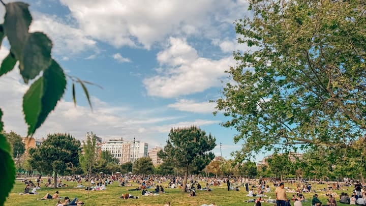 After the major power outage, people in Spain were spotted lounging in parks, reconnecting with nature, and rediscovering basic outdoor conveniences. (X@socoloffalex)