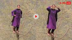 पेड़ पर चढ़कर डांस करने लगी कश्मीरी लड़की, लोग बोले- इंसान है या चुड़ैल?