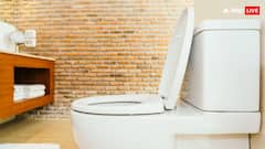 टॉयलेट यूज करने के बाद कहीं आप भी तो नहीं कर रहे हैं ये गलती? हो सकते हैं बीमार