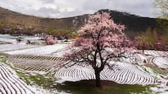 PoK में जम्मू का हिस्सा ज्यादा है या फिर कश्मीर का? जवाब जानकर हैरान रह जाएंगे आप