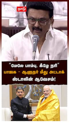 ”மேலே பாம்பு, கீழே நரி” பாஜக - ஆளுநர் மீது அட்டாக்! ஸ்டாலின் ஆவேசம்! : MK Stalin Slams Modi