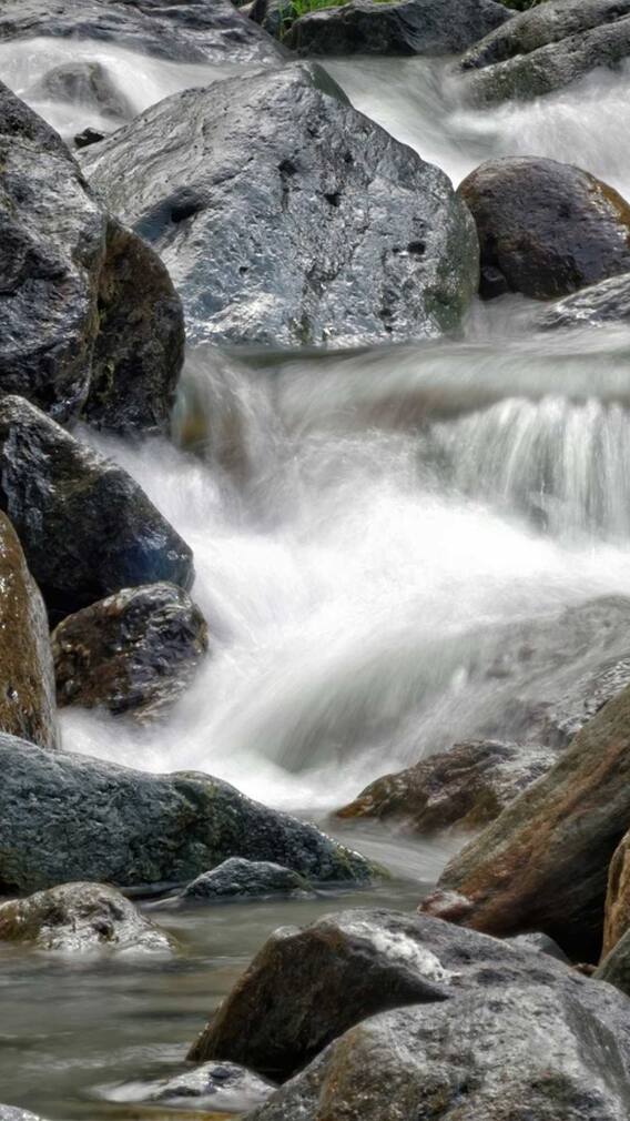 सिंधु नदी में कहां निकलता है सोना?