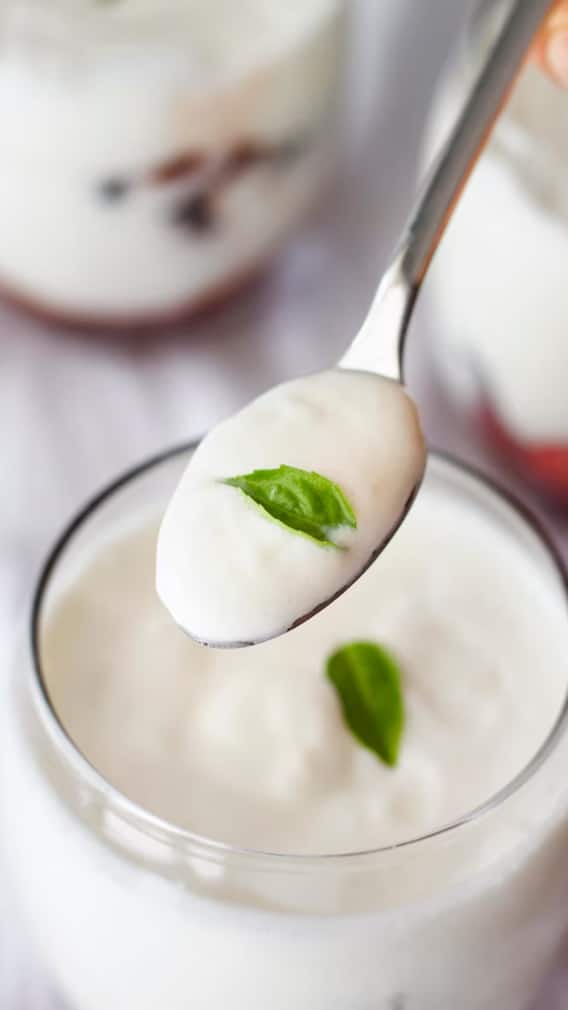 సమ్మర్​లో అయినా పెరుగు తిను బ్రో.. ఆరోగ్యానికి మంచిది