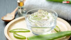 गर्मियों में ऑयली स्किन पर लगाएं ये 6 चीजें, ढलते चेहरे की रंगत होगी साफ