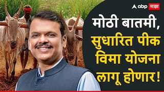 1 रुपयात विमा योजनेत लाखो बोगस अर्ज,सुधारित पीक विमा योजना लागू करणार, देवेंद्र फडणवीस यांची मोठी घोषणा
