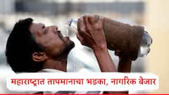 Maharashtra Weather Update: तापमानाची आच वाढणार, उष्णतेच्या लाटांचे तीव्र अलर्ट, पुण्यासह कुठे काय तापमान? येत्या 4 दिवसात...