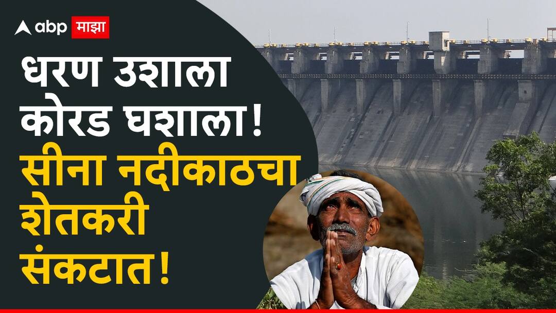 Ujani Dam Water crisis Madha solapur Agriculture News Farmers along the banks of the Sina River are in trouble due to improper planning of Ujani Dam water and lax administration धरण उशाला कोरड घशाला! उजनीच्या पाण्याचं अयोग्य नियोजन, प्रशासनाच्या ढिसाळ कारभारामुळं सीनाकाठचा शेतकरी संकटात  