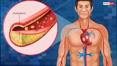 Health Tips: સૂતા પહેલા દૂધમાં એક ચપટી ભેળવીને પીવો આ વસ્તુ, કોલેસ્ટ્રોલથી લઈને બ્લડ પ્રેશર સુધી બધું જ થશે કંટ્રોલ