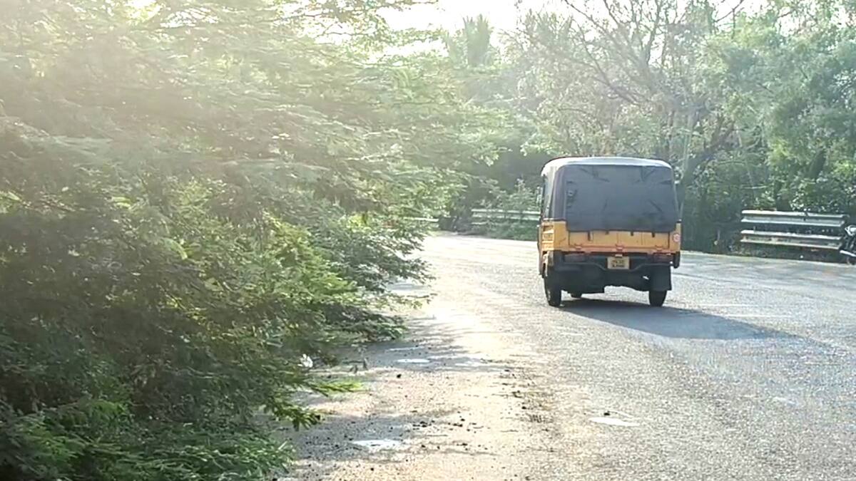 தேசிய நெடுஞ்சாலையை ஆக்கிரமித்த கருவேல மரங்கள்.. அச்சத்தில் வாகன ஓட்டிகள் - நடவடிக்கை எடுக்கப்படுமா?