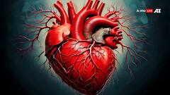 दिल की बीमारी से दुनियाभर में मरे 3.5 लाख लोग, क्या है वजह? रिसर्च में चौंकाने वाले खुलासे