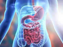 रोजाना खाली पेट पिएं त्रिफला का पानी, 1 नहीं दूर होंगी ये अनेकों परेशानियां