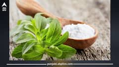 ਇਹ ਹਰਾ ਪੱਤਾ ਸਿਹਤ ਲਈ ਰਾਮਬਾਣ, ਸ਼ੂਗਰ ਹੋਵੇ ਜਾਂ ਫਿਰ ਵਧਿਆ ਕੋਲੈਸਟਰੋਲ, ਸਭ ਰਹੇਗਾ ਕਾਬੂ 'ਚ