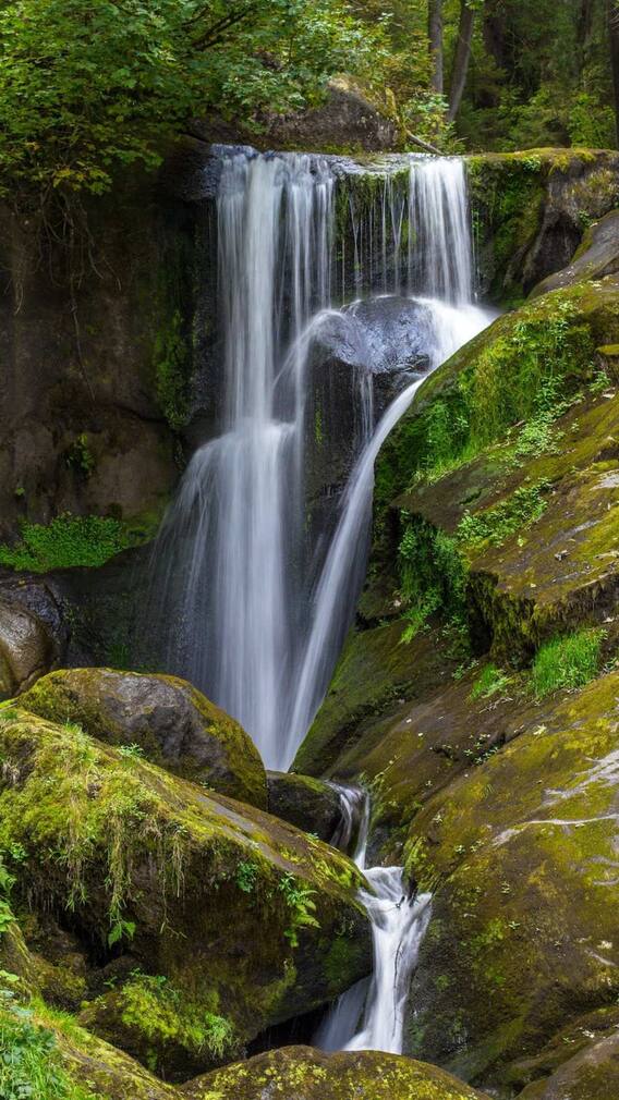 महाराष्ट्र के 5 वॉटरफॉल्स मानसून में घूमने लायक
