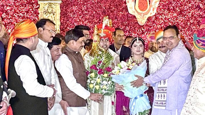 इनके पिता राजेश सिंह राजावत बीजेपी युवा मोर्चा में प्रदेश उपाध्यक्ष रह चुके हैं. इनके परिवार का आईटी कॉलेज और माइनिंग का बिजनेस है.