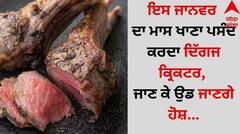 Cricketer Favorite Meat: ਇਸ ਜਾਨਵਰ ਦਾ ਮਾਸ ਖਾਣਾ ਪਸੰਦ ਕਰਦਾ ਦਿੱਗਜ ਕ੍ਰਿਕਟਰ, ਜਾਣ ਕੇ ਉਡ ਜਾਣਗੇ ਹੋਸ਼...