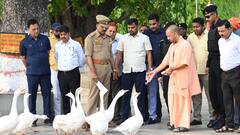 जनता दरबार में अनोखे अंदाज में दिखे सीएम योगी, छोटे बच्चों को किया लाड़ दुलार, खिलाई चॉकलेट