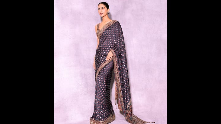 8. Classic Navy Blue Saree: Vaani Kapoor's navy blue saree featured intricate golden and red patterns all over it. The luxurious saree exuded timeless elegance. She paired her saree with a statement sleeveless blouse that had beautiful embroidery work. The actress opted for minimal jewellery, to highlight the saree. (Image Source: Instagram/@vaanikapoor)