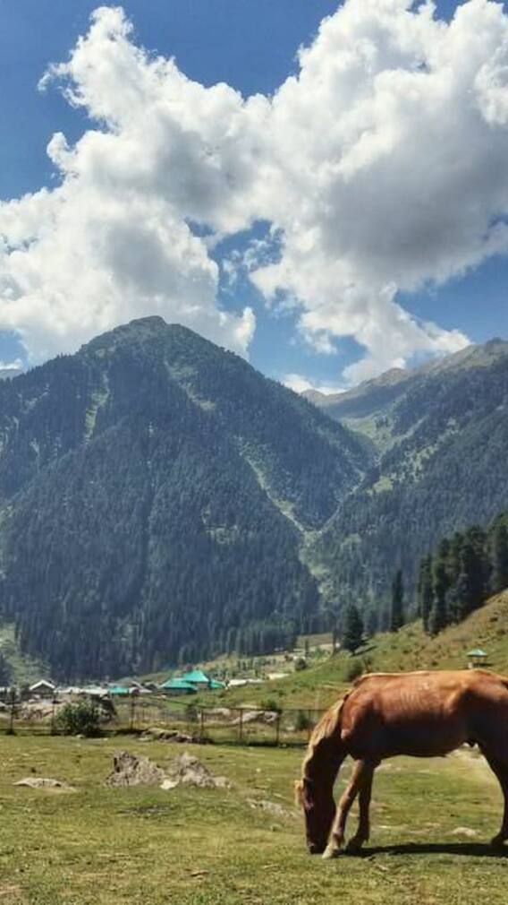 पहलगाम को क्यों कहा जाता है कश्मीर का मिनी स्विट्जरलैंड?