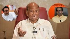 राज ठाकरे और उद्धव ठाकरे के साथ आने की अटकलों पर शरद पवार का बड़ा बयान, 'अगर ऐसा होता है तो...'