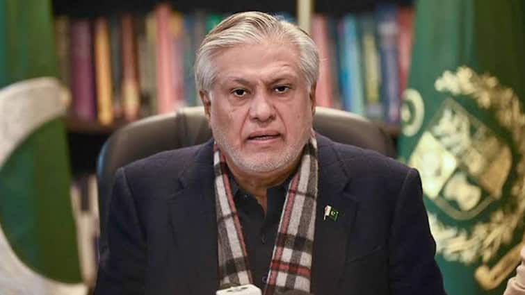 Pakistan Open To Dialogue With India To Discuss Kashmir, All Other Issues: FM Ishaq Dar