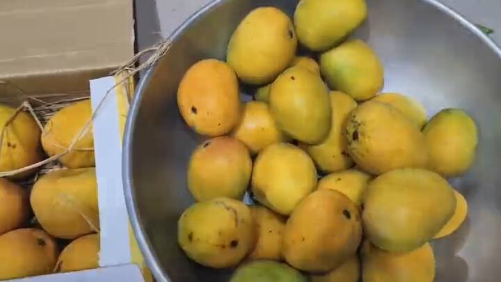 अक्षय तृतीयेच्या मुहूर्तावर हिंदू धर्मात आंब्याचा प्रसाद महत्त्वाचा मानला गेला असून यामुळेच आजपासून विठुरायालाही महाप्रसादात आमरस देण्यात सुरुवात झाली आहे.