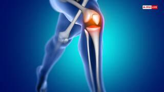 30+ महिलाओं की हड्डियां होने लगती हैं कमजोर, इन आहार को खाने से बढ़ेगी बोन डेंसिटी