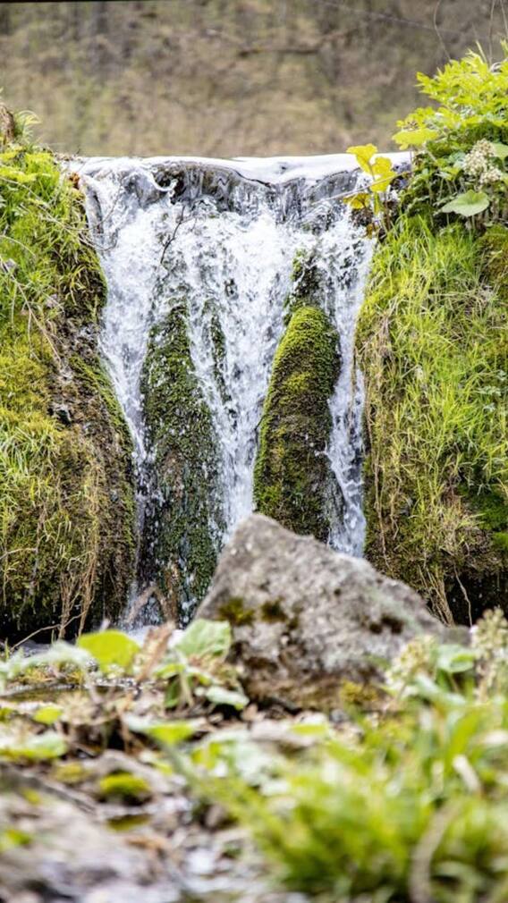 दुनिया के किस देश से निकलती हैं सबसे ज्यादा नदियां?