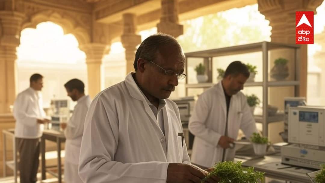 Indian Ayurveda Companies standout on Scientific validity creating Golabal Impact Indian Ayurveda: శాస్త్రీయ దృష్టితో ప్రపంచ దృక్ఫథాన్నే మార్చేస్తున్న భారతీయ ఆయుర్వేద సంస్థలు