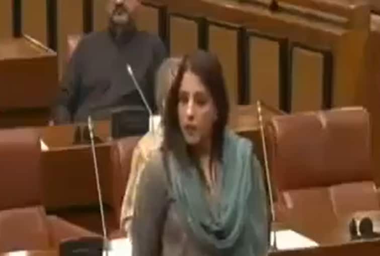 ‘First Brick Of Babri Mosque In Ayodhya…’: Pakistani Senator’s Controversial Statement