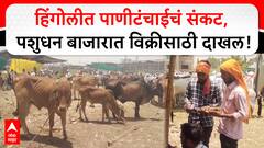 Hingoli Water Issue : हिंगोलीत पाणीटंचाईचं संकट, पशुधन बाजारात विक्रीसाठी दाखल