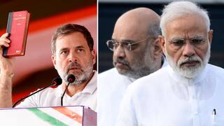 राहुल गांधी सातत्याने म्हणत राहिले, जातीय जनगणना करून आम्ही समाजाचा X-Ray करु; आता बिहारच्या निवडणुकीच्या तोंडावर एनडीएचा विरोध असतानाही जातीय जनगणनेची घोषणा!