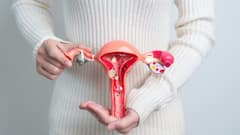 Uterus Transplant: বদলে যাচ্ছে মাতৃত্বের সংজ্ঞা, দিদির জরায়ু ধারণ করে ফুটফুটে মেয়ের জন্ম দিলেন ইনি…