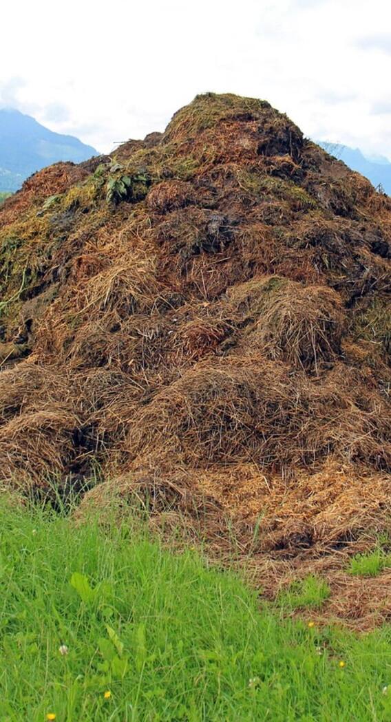 कौन से देश भारत से खरीदते हैं गोबर?