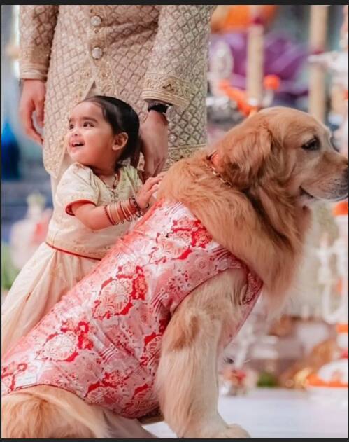 हैप्पी से बच्चे भी बहुत प्यार करते थे. ईशा अंबानी की बेटी यहां हैप्पी के साथ खेलती नजर आ रही हैं. वो बच्चों के साथ खूब खुश रहता था.