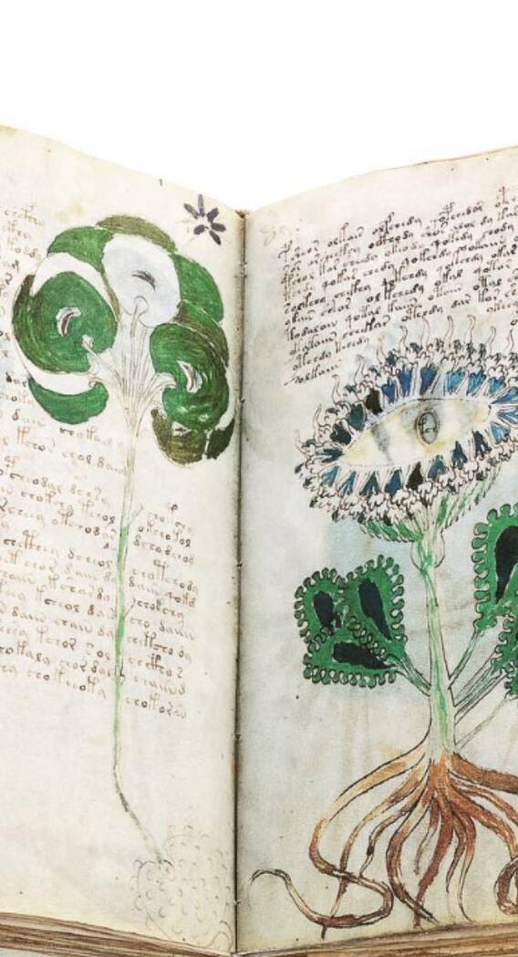 ये है दुनिया की सबसे रहस्यमयी किताब